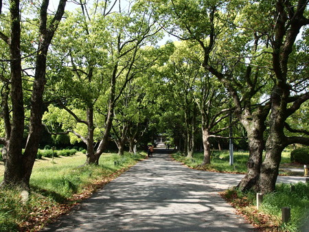 P5041559
