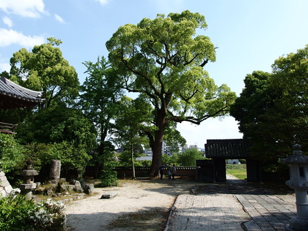 P5041566