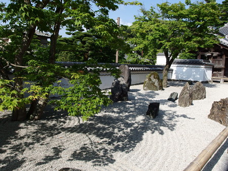 P5041582