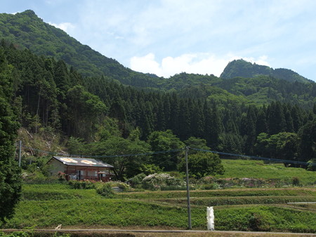P5222055