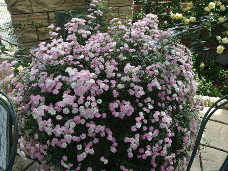 P5222097