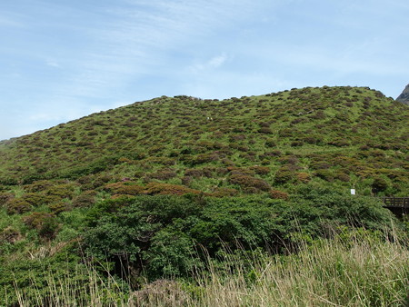 P5222074