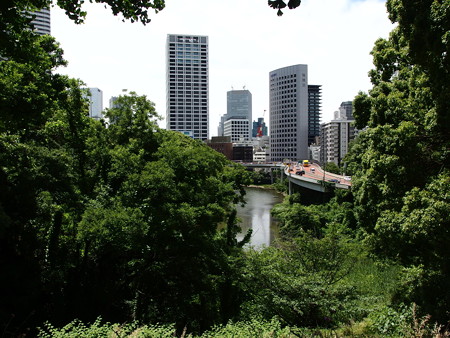 P6042224