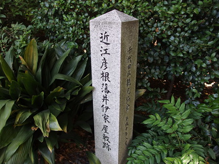 P6042228