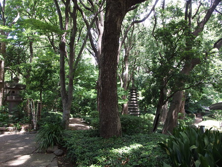P6042237