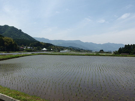 P5223775