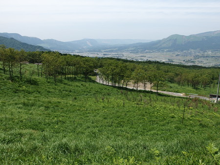 P5223779