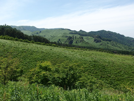 P5223782