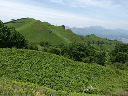 P5223785