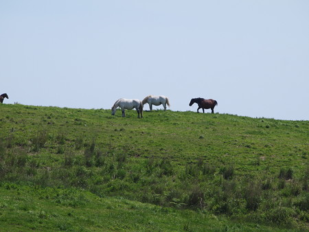 P5223051