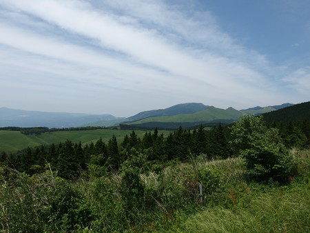P5223799