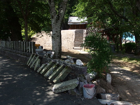 P5223819