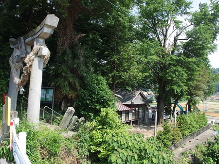 P5223841