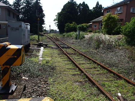 P5223844