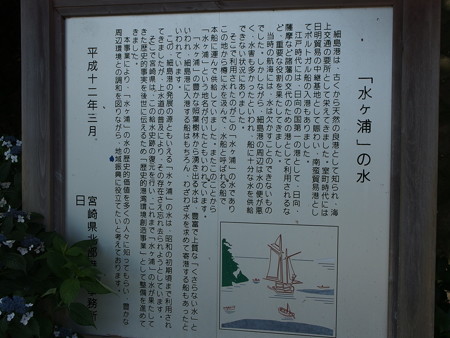 P6073911