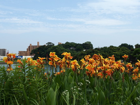 P6183986