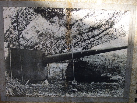 P7034137