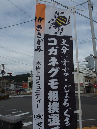 P7024085