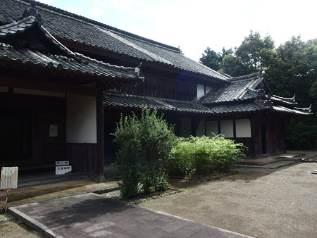 P7034194