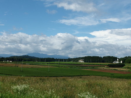 P7034204