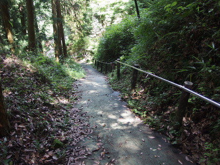 P7034223