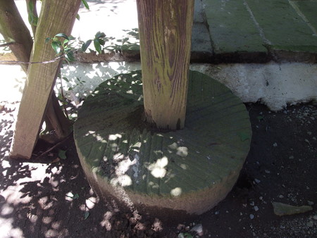 P7184294