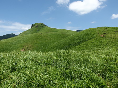 P7184330
