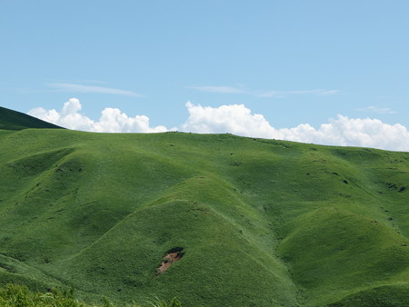 P7184333