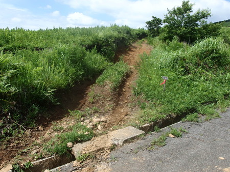 P7184393