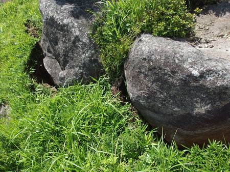 P7184350
