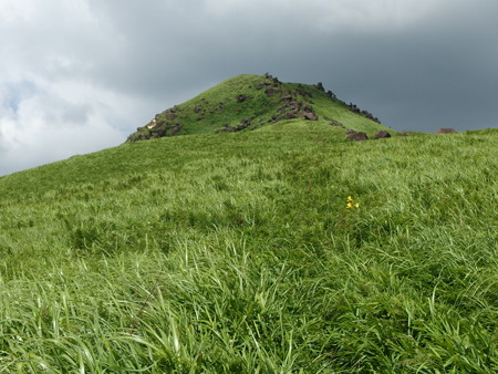 P7184386
