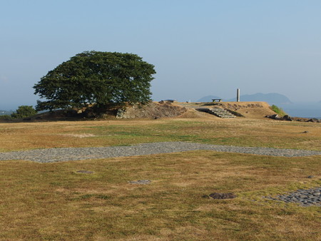 P8145119