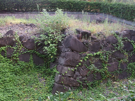 P8145154