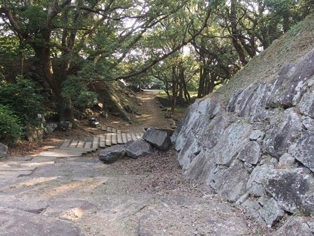 P8145160