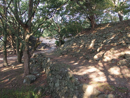 P8145171