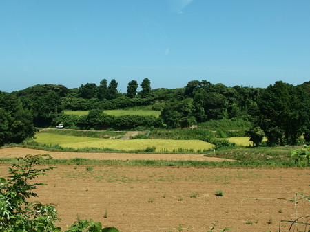 P8145261