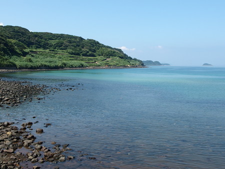 P8145262
