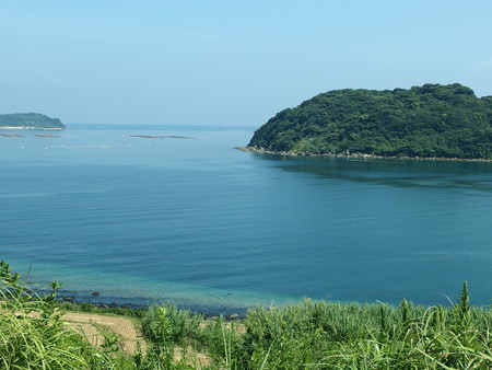 P8145264