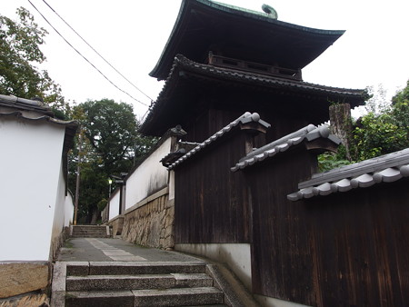 P9225536