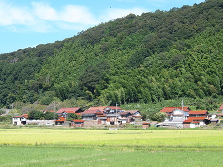 P9243240