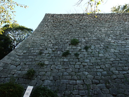 PA246497
