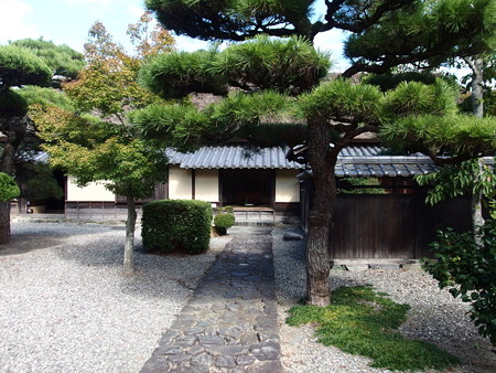 PA256677