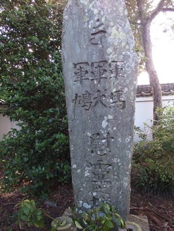 PA256663