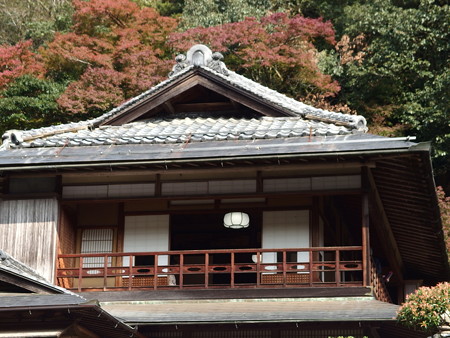 PB067590