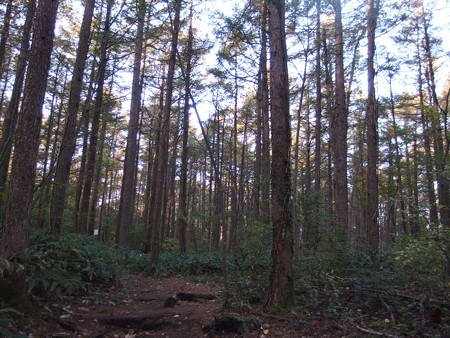 PB057096
