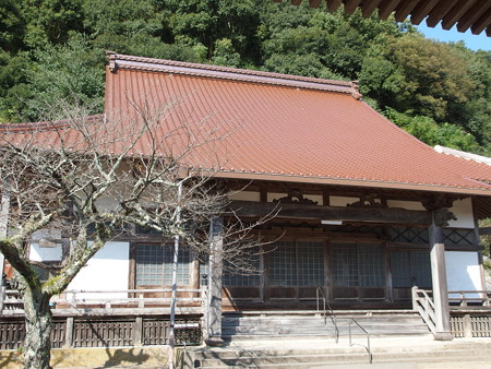PB057206