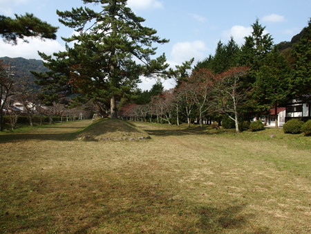 PB067637