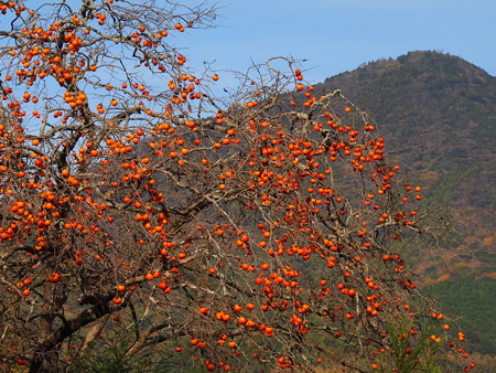 PC024200