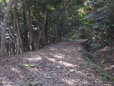 PC027887