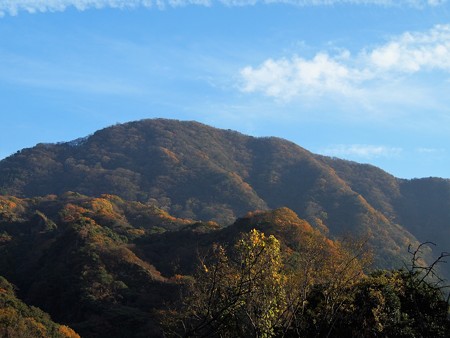 PC024239